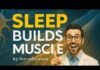 Scientists Discover Neural Mechanism Connecting Sleep Stages to Muscle Growth and Fat Metabolism Scientists Discover Neural Mechanism Connecting Sleep Stages to Muscle Growth and Fat Metabolism