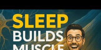 Scientists Discover Neural Mechanism Connecting Sleep Stages to Muscle Growth and Fat Metabolism