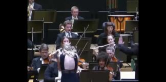 Priceless Guadagnini Violin Falls Mid-Performance After Conductor’s Gesture in Finland