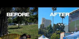 I Went to MacArthur Park During the World Cup