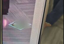 Rat infestation at IRS building has staffers sitting on their desks