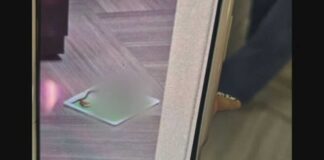 Rat infestation at IRS building has staffers sitting on their desks