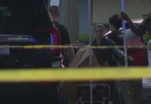 South Florida toddler dies in hot car tragedy this week