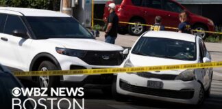 Man shot and killed by ICE agents in Maine