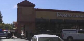 Man stalked, harassed woman before fatal Panera shooting