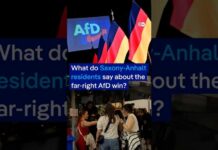 What do Saxony-Anhalt residents say about the far-right AfD win? | DW News