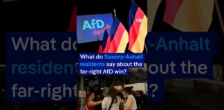 What do Saxony-Anhalt residents say about the far-right AfD win? | DW News